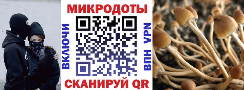 Купить закладки  Калининец  Галлюциногенные грибы Psilocybine cubensis 